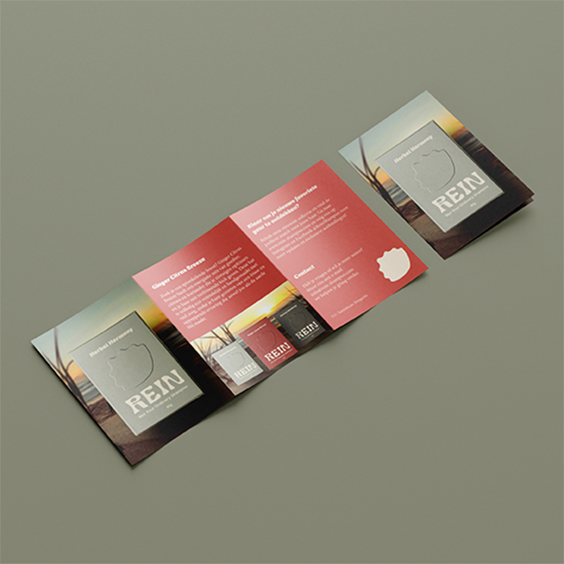 The Lamb of God project